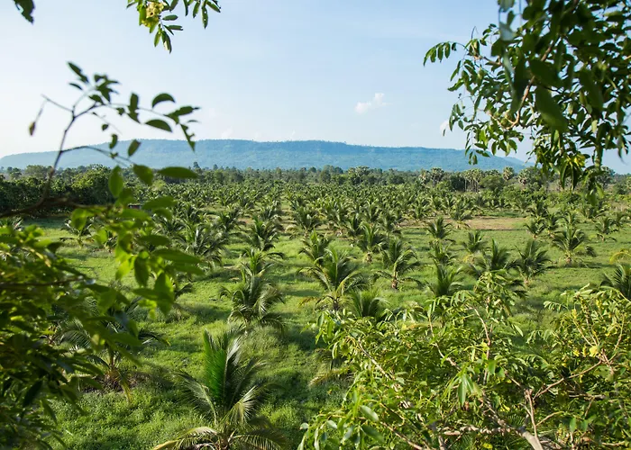 The Bliss Angkor